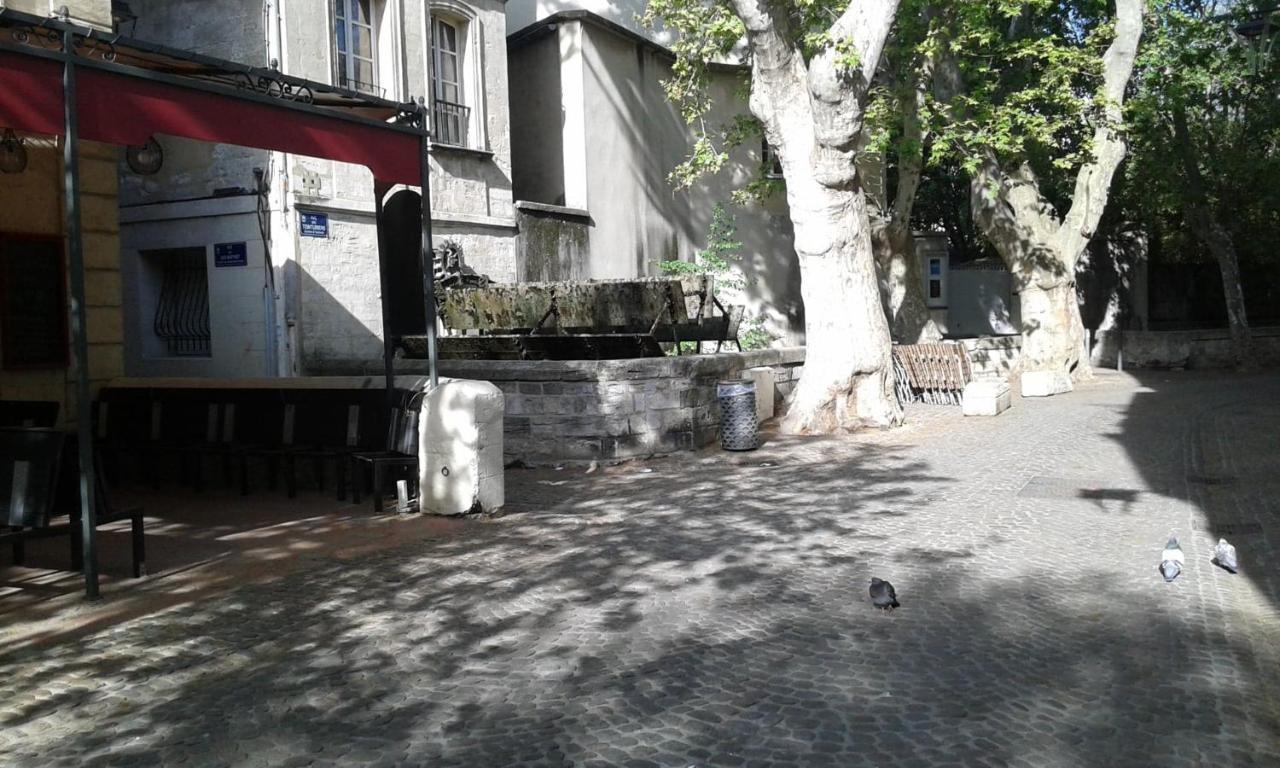 Chambre Sur Jardin Secret - Avignon Centre - Climatisee Екстер'єр фото