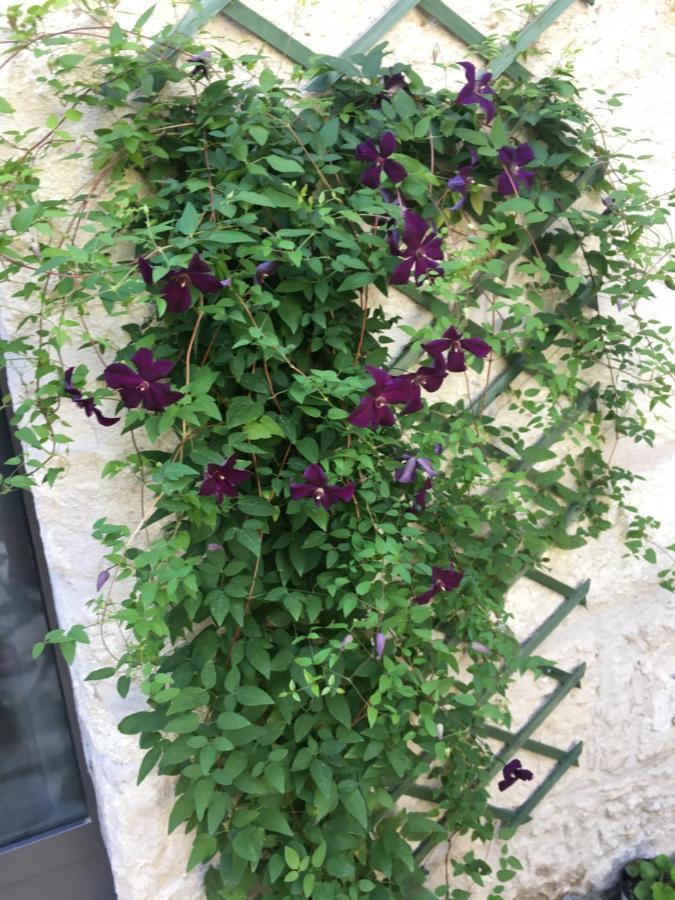 Chambre Sur Jardin Secret - Avignon Centre - Climatisee Екстер'єр фото