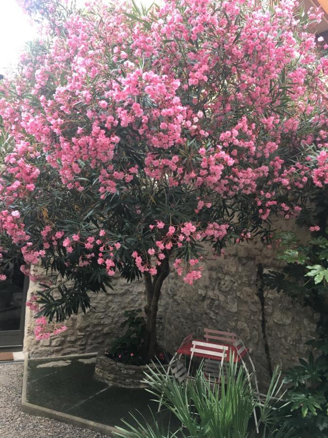 Chambre Sur Jardin Secret - Avignon Centre - Climatisee Екстер'єр фото